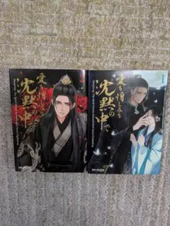 「愛も憎しみも沈黙の中で」1巻＆2巻