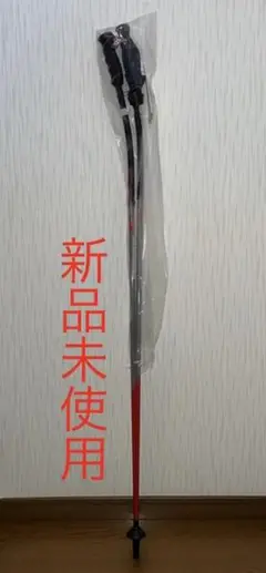 19-20 OGASAKA GS 競技用 スキー ストック 125cm