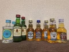 ウイスキーとジンのミニボトル10本セット