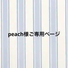 ミニチュアスイーツ peach様ご専用ページ