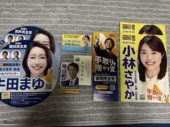 国民民主党　2025 夏