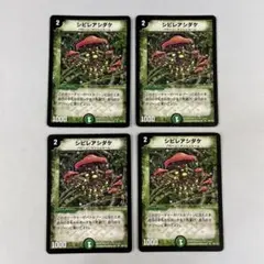 136080 シビレアシダケ
