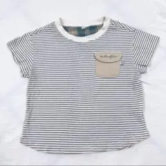 Item thumbnail for item 6b72a21f-6f7e-4128-821c-3ca0eac9cacc