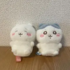 ちいかわ　ぴたれすと