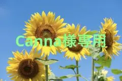 専用