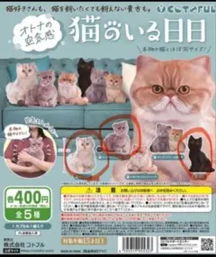 猫のいる日々 フィギュア 3種セット