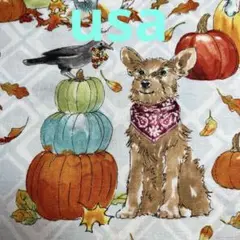 犬　パンプキン　アニマル　綿生地　usaコットン 廃版レア　ハロウィン