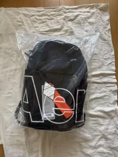 Aer City Pack Pro 2 X Pac 正規品　袋とタグ付き
