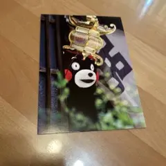 くまモンハガキ
