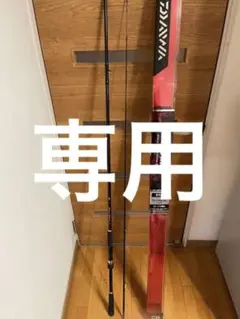ダイワ OVER THERE 97M