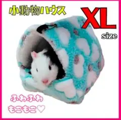 Item thumbnail for item 343385a1-af1e-48bc-b626-f40092db77af