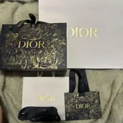 Dior ギフトバッグセット