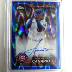 topps Chrome Alexander canario サイン カード