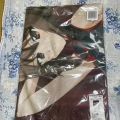 ガールズ&パンツァー 最終章　のれん　まほ&アンチョビ