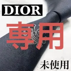 ✨未使用✨ 激レア DIOR×SHAWN STUSSYネクタイ シルク78%