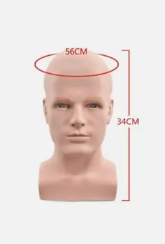 Realistic Male Mannequin Head マネキン