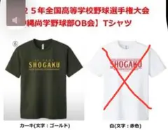 沖縄尚学 2025甲子園 応援Tシャツ サイズ:3L