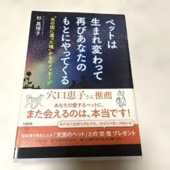 ペットは生まれ変わって再びあなたのもとにやってくる