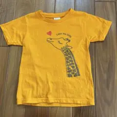 ASAHIYAMA Farm Zoo キリンTシャツ