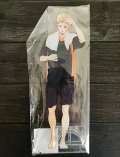 ハイキュー!! 月島蛍