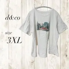 d&co 風景プリント Tシャツ 3XL メンズ ホワイト 山 半袖