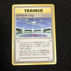 ハナダシティジム　旧裏