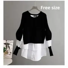 Item thumbnail for item ffd229b4-21f3-419a-a948-9f96a88b903f