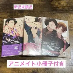 溢れて零れて、我慢できない overflow　上下巻 やまち　アニメイトセット