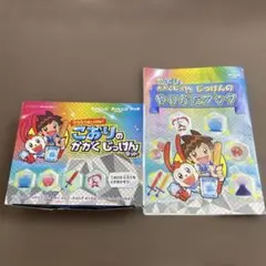 チャレンジ1年生　こおりのかがくじっけんセット　ベネッセ　チャレンジタッチ　付録