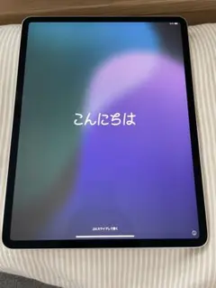 iPad Pro 12.9 256GB