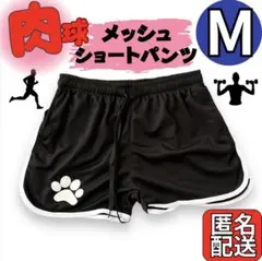 Item thumbnail for item 2a02c8fa-62b3-4b31-af57-bd00e7867276