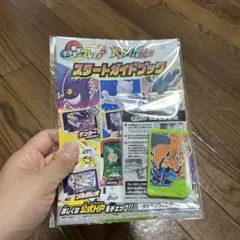 ポケモンスタートガイドブック　ブレンダーピッグ