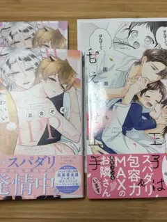 BL 新刊コミックセット