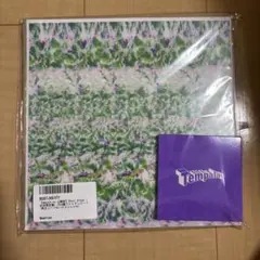 Tempalay Ghost Album 8cm盤アナログレコード＋メガジャケ