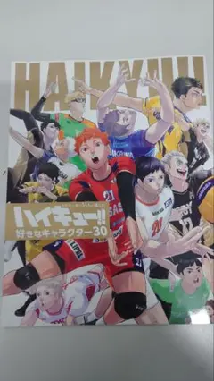 スポルティーバ Vol.3 ハイキュービジュアルブック アクリルスタンド