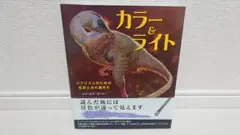 カラー&ライト