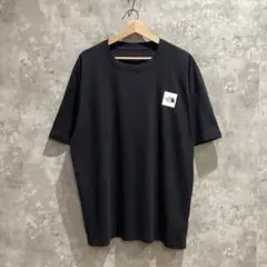 新品未使用 THENORTH FACE ノースフェイス ワンポイント Tシャツ