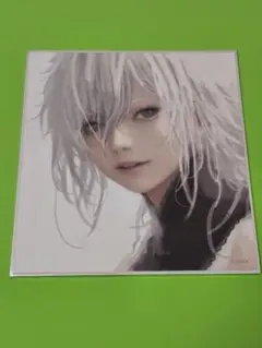 NieR ニーア展 消セナイ記憶 ミニ 色紙コレクション ヨナ A