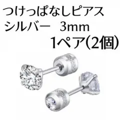 つけっぱなしピアス　1ペア2個　2way　ネジ式　両耳