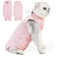 Item thumbnail for item ce076298-7566-4917-8a0b-7c980552e03e