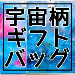 セリア/フロストハンディバッグLL 約500×360mm 2枚