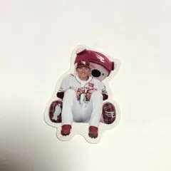 楽天イーグルス 林