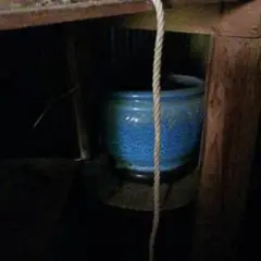 火バチ