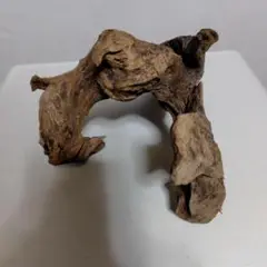 自然な流木 作品素材