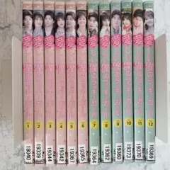 DVD　愛しい僕のラッキーガール　全12巻
