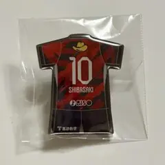 鹿島アントラーズ 25 プレイヤーズ ピンバッジ 柴崎岳