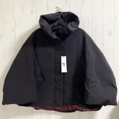 Item thumbnail for item c491e598-41a4-499b-be9d-333c9325ee77