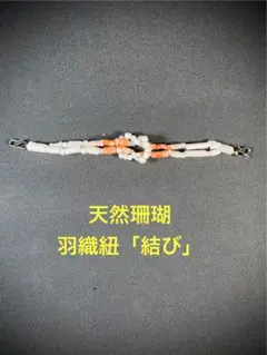 Item thumbnail for item 48727b2d-c52e-4959-9100-85c484bea845