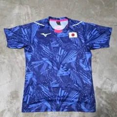 Item thumbnail for item 7098fca7-d944-447d-9635-d87a41a0f4f8