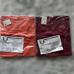 インド綿　半袖Tシャツ　レディース　アプリコット　Lサイズ